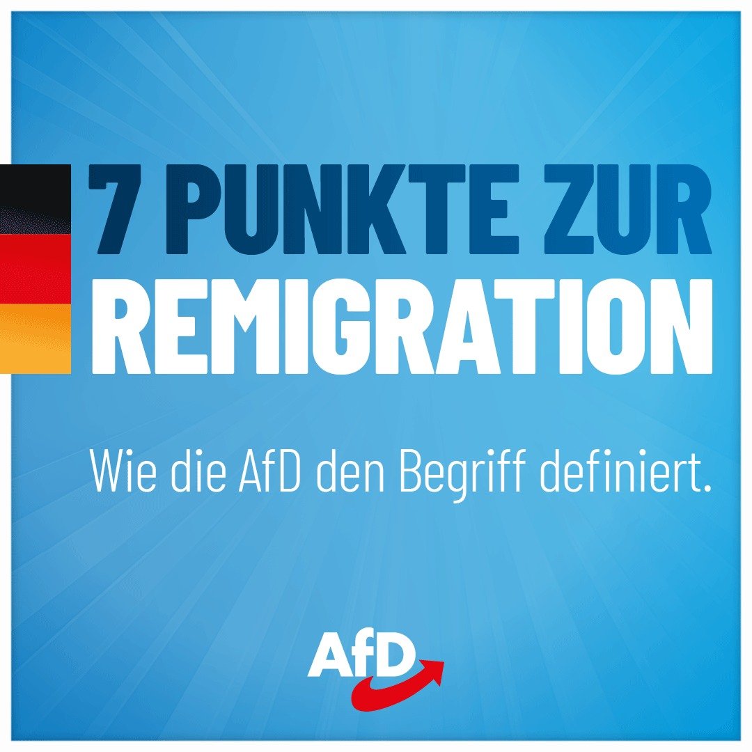 Read more about the article Wie die AfD den Begriff „Remigration“ definiert.