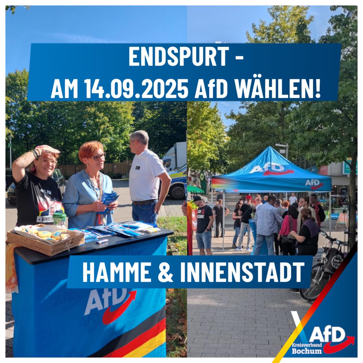 Du betrachtest gerade Infostände in Hamme und Innenstadt